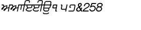 download Shree Punjabi 1766 Italic font
