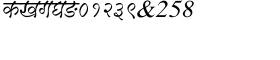 download Shree Devanagari 1229 Italic font