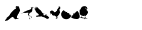 download Altemus Birds One font