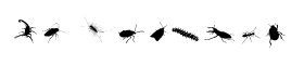 download Insects Regular font