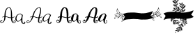 download Amoretta Family Volume font