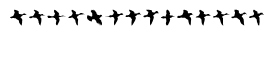 download Birds Flying Regular font
