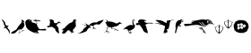 download USF Birds A font