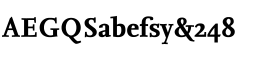 download FF Nexus Serif Bold font