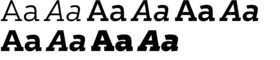 download Salvo Serif Family font