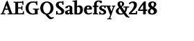 download FF Nexus Serif Offc Bold font